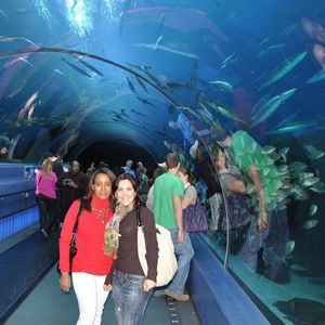 Meet your Posher, Aimee